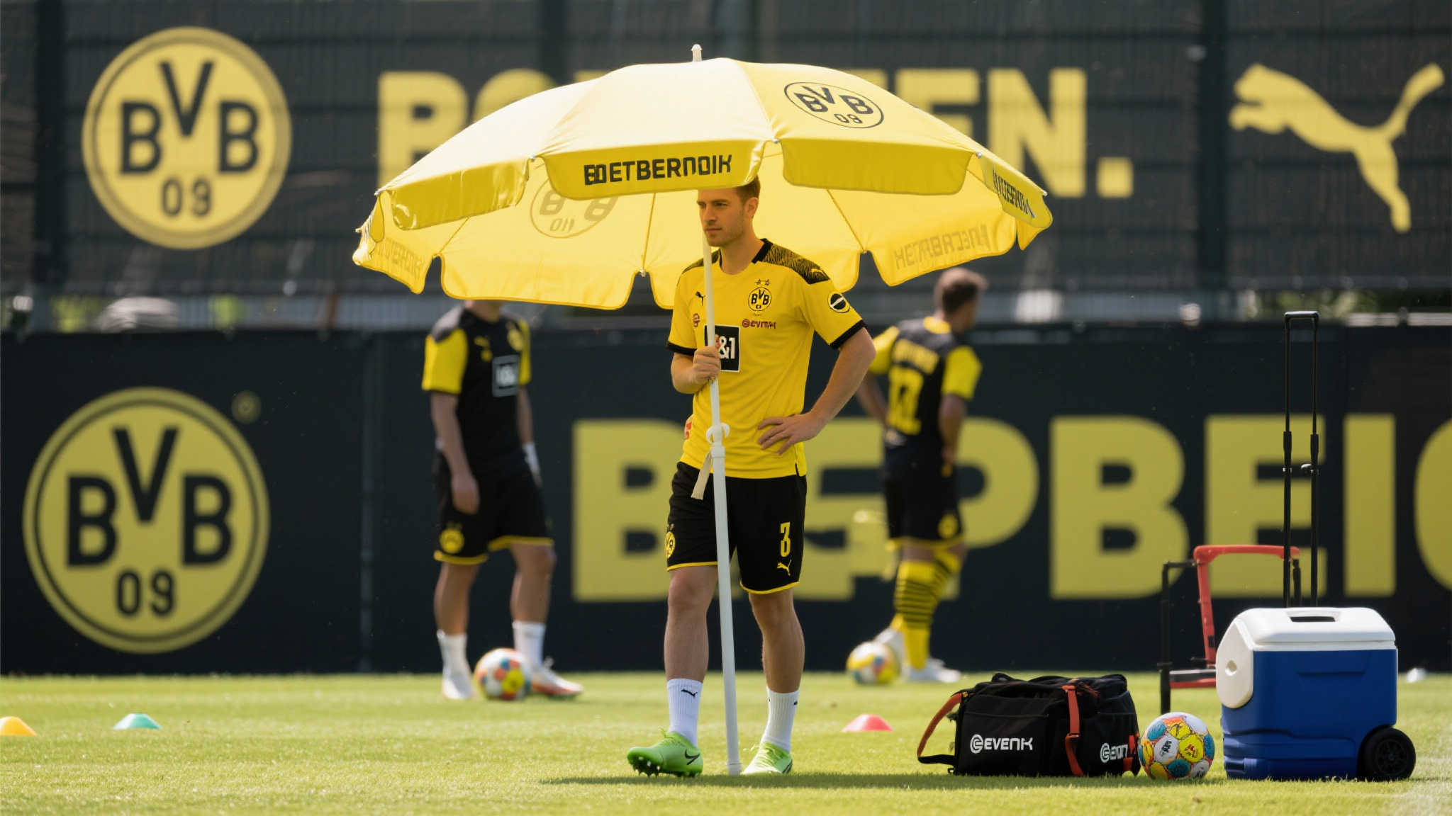 世界杯直播额平台